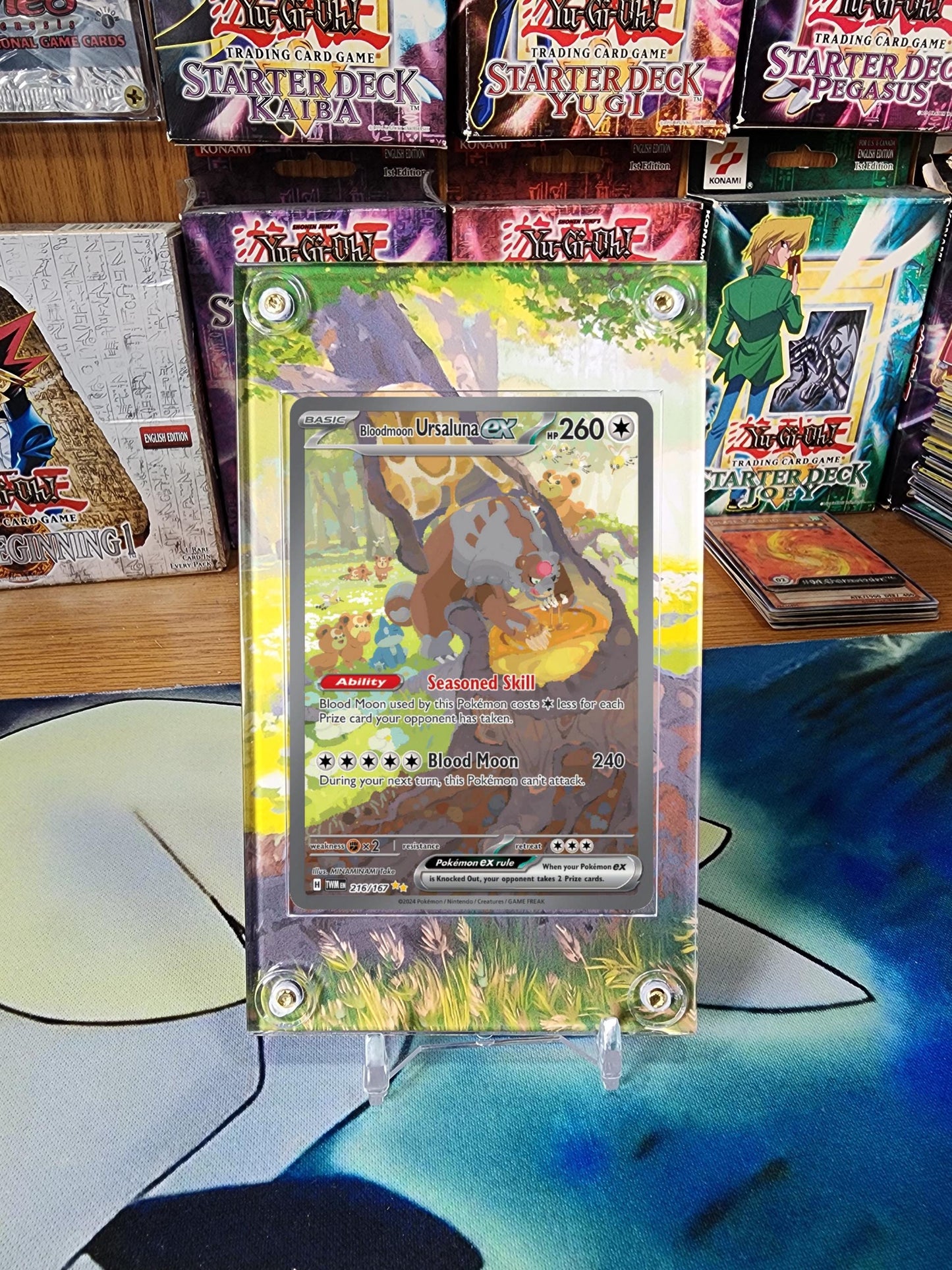 Pokemon Bloodmoon Ursaluna EX 216/217 Twilight Masquerade Custom Display Case Slab