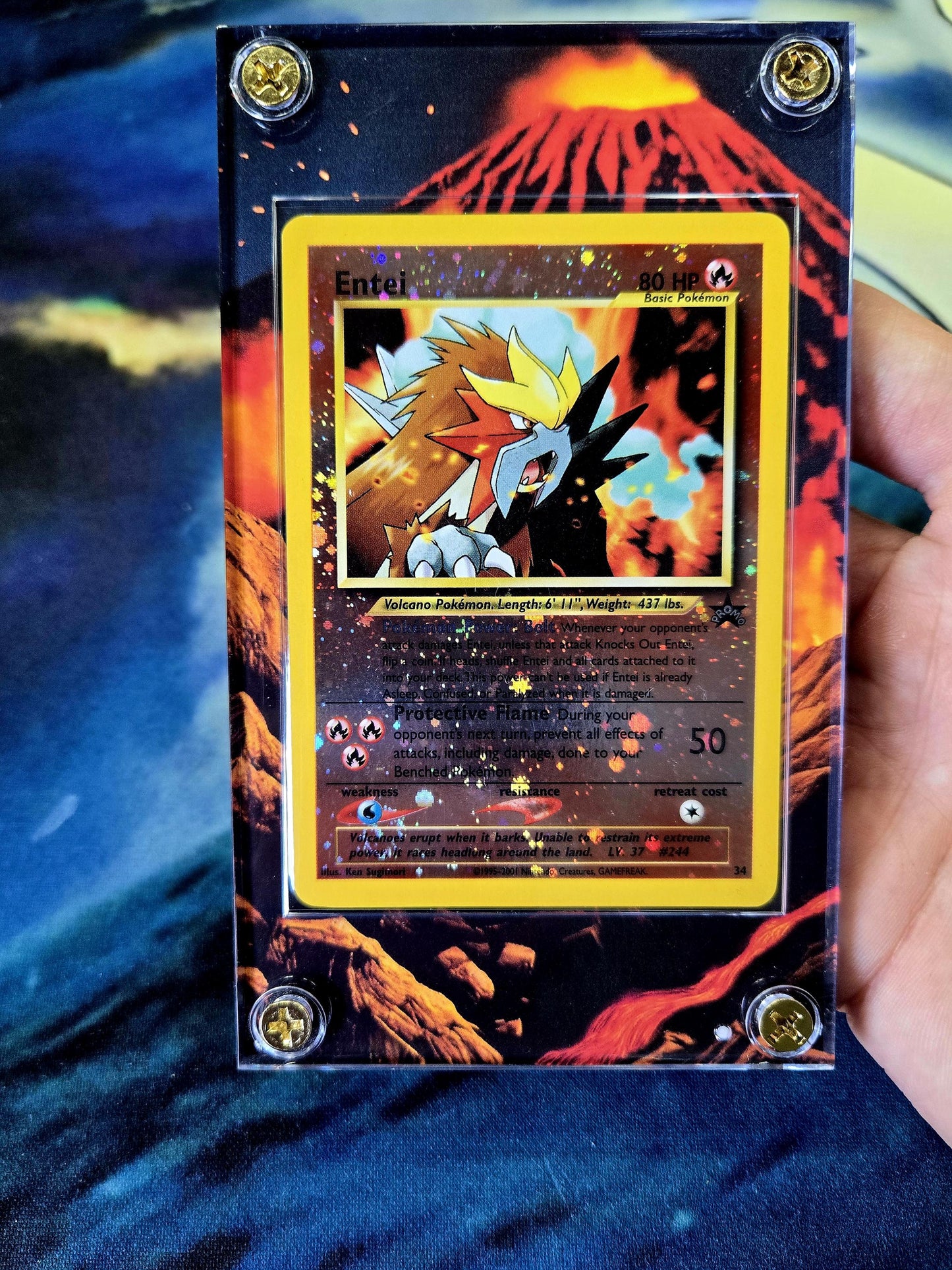 Pokemon Entei Promo 34 Movie Black Star Custom Display Case Slab