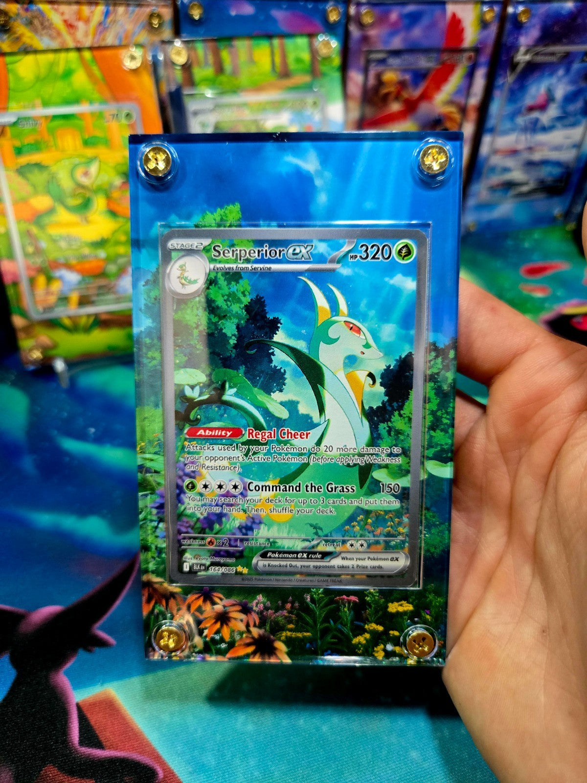 Pokemon Serperior EX SIR 164/086 Black Bolt Extended Art Case