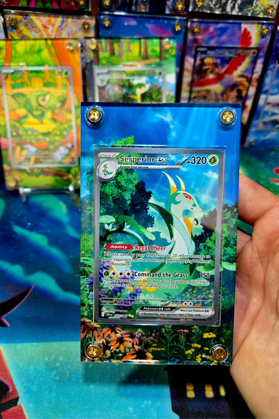 Pokemon Serperior EX SIR 164/086 Black Bolt Extended Art Case