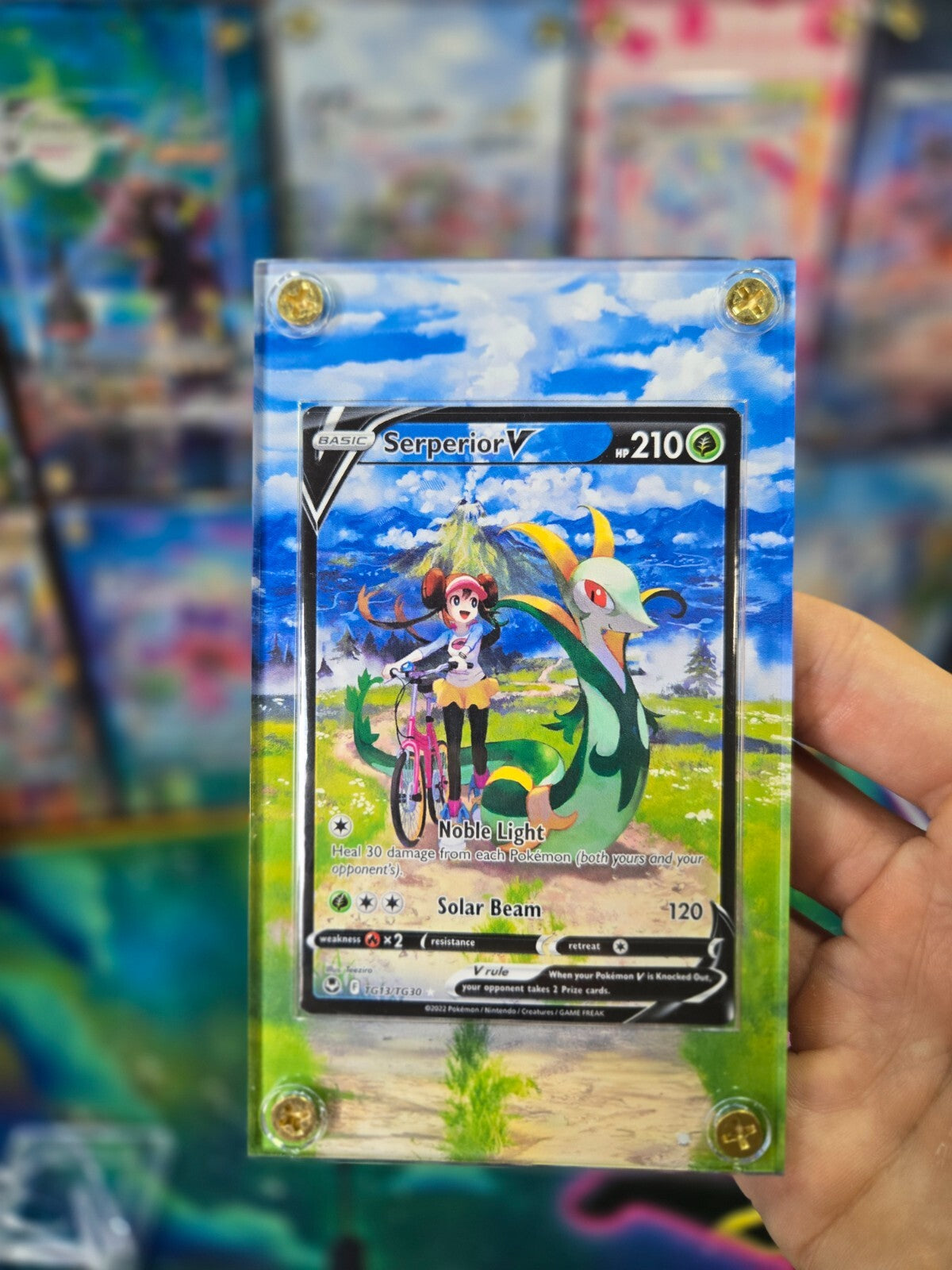 Pokemon Serperior V TG13/TG30 Silver Tempest Extended Art Case