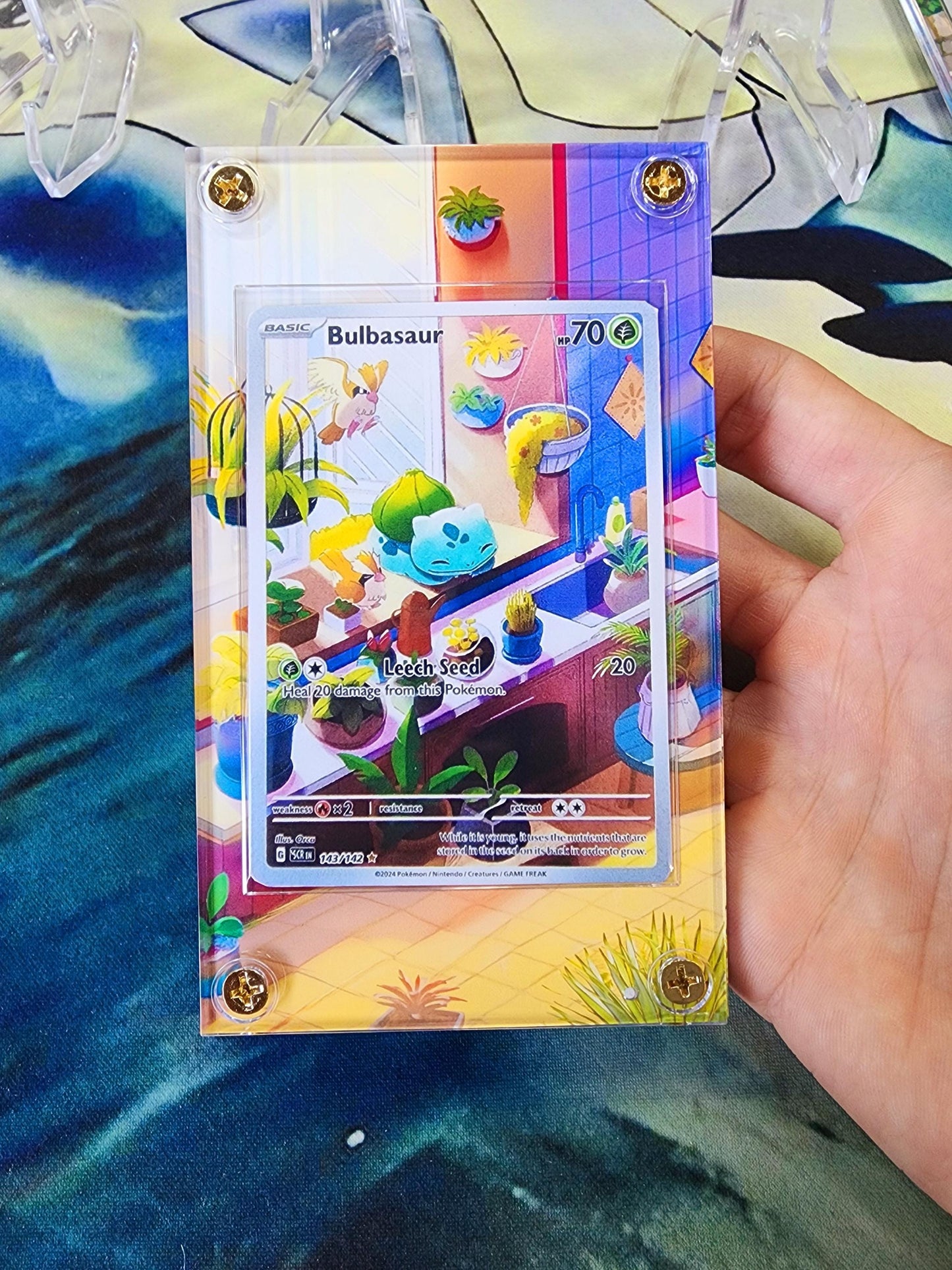 X3 Pokemon Bulbasaur Squirtle Charmander Stellar Crown Obsidian Flames SVG IR AR 050/049 Card Custom Display Cases.