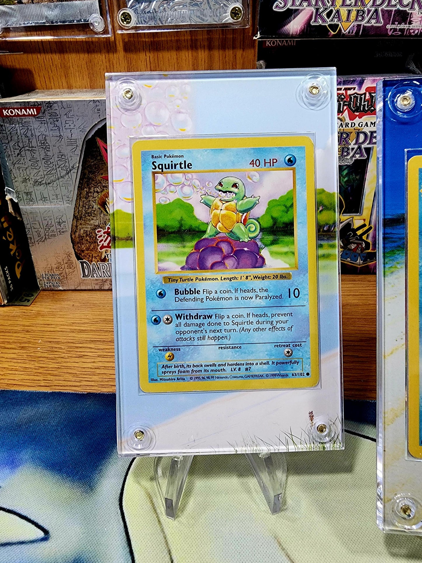 Pokemon Squirtle, Wartortle, Blastoise Base Set 2 Custom Display Case Slabs