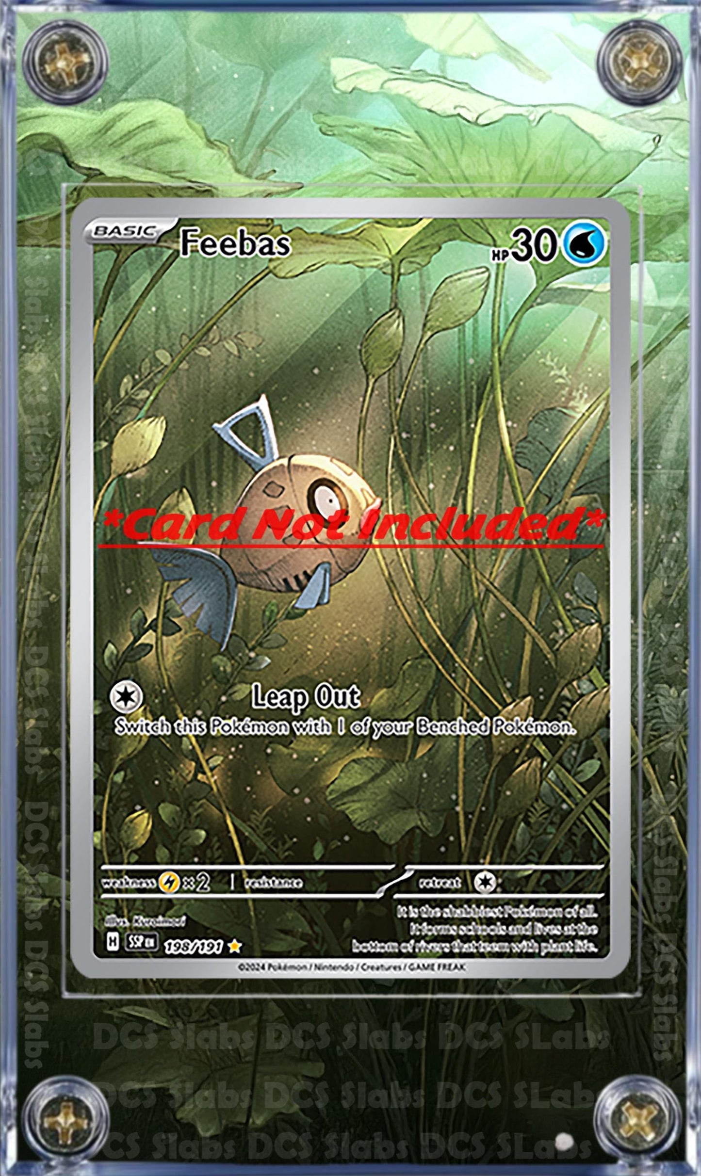 x2 Pokemon Milotic EX & Feebas 237/191 198/191 IR Custom Display Cases from Surging Sparks