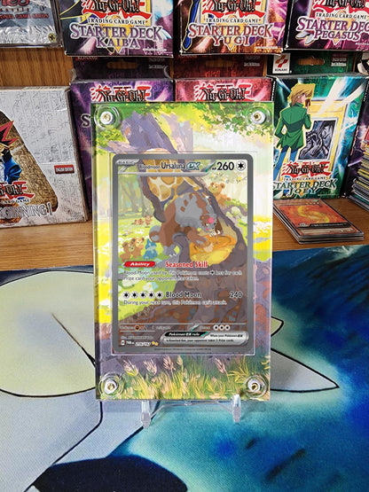 Pokemon Bloodmoon Ursaluna EX 216/217 Twilight Masquerade Custom Display Case Slab