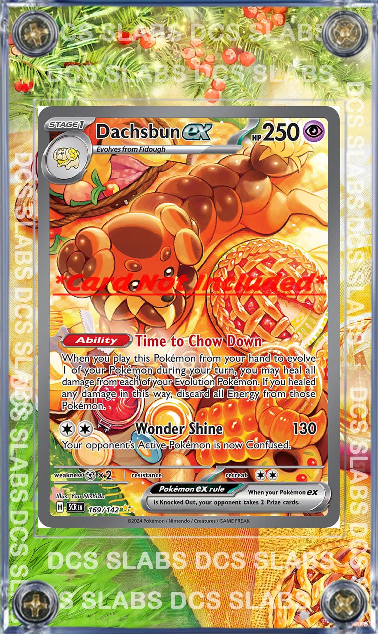 Pokemon Dachsbun EX SIR Stellar Crown Stellar Miracle SIR 169/142  Card Custom Display Case