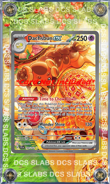 Pokemon Dachsbun EX SIR Stellar Crown Stellar Miracle SIR 169/142  Card Custom Display Case