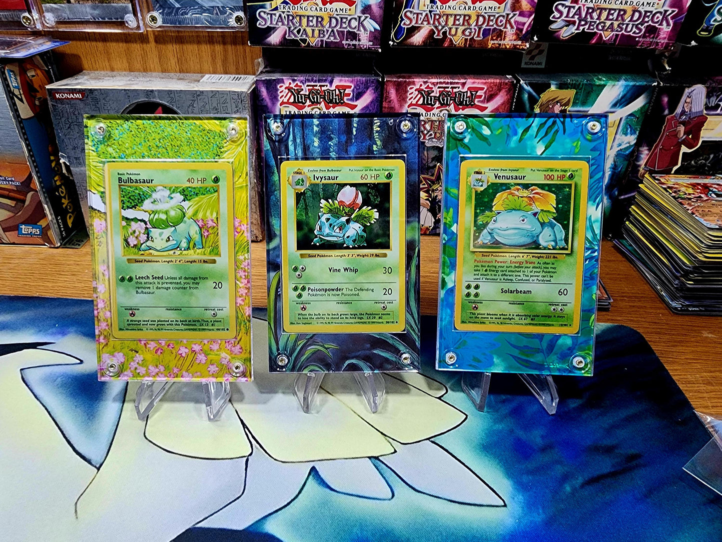 X9 Pokemon Original Charizard, Blastoise, Venusaur Base Set Evolutions Custom Display Case Slabs