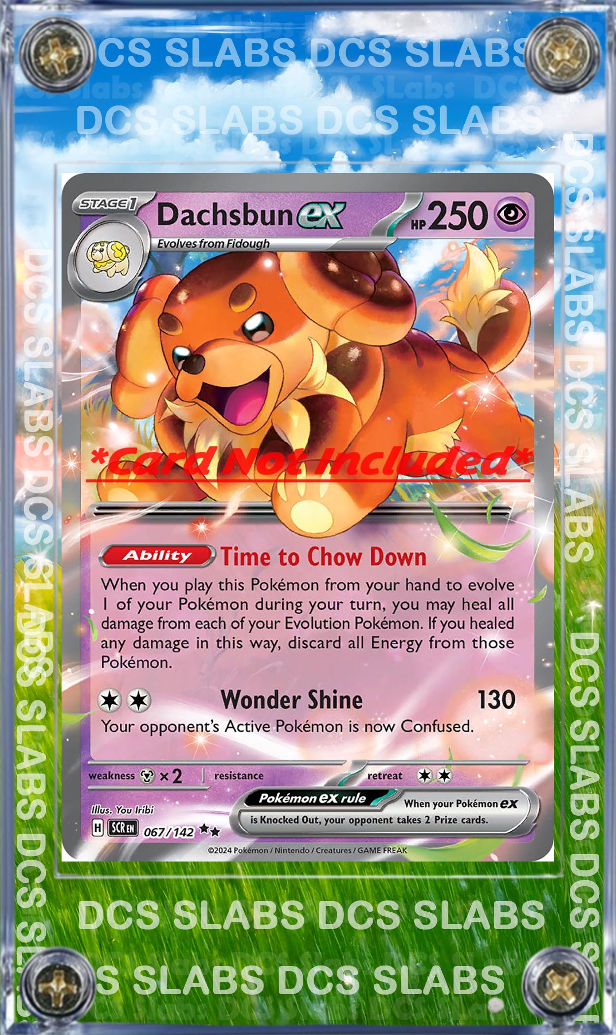 Pokemon Dachsbun EX Stellar Crown Stellar Miracle 067/142  Card Custom Display Case