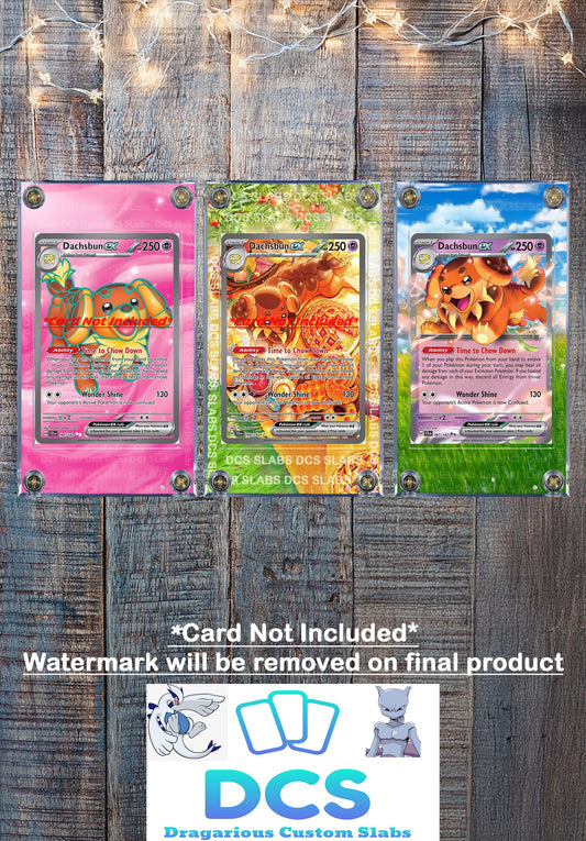 Pokemon Dachsbun EX SIR Stellar Crown Stellar Miracle SIR 169/142  Card Custom Display Case