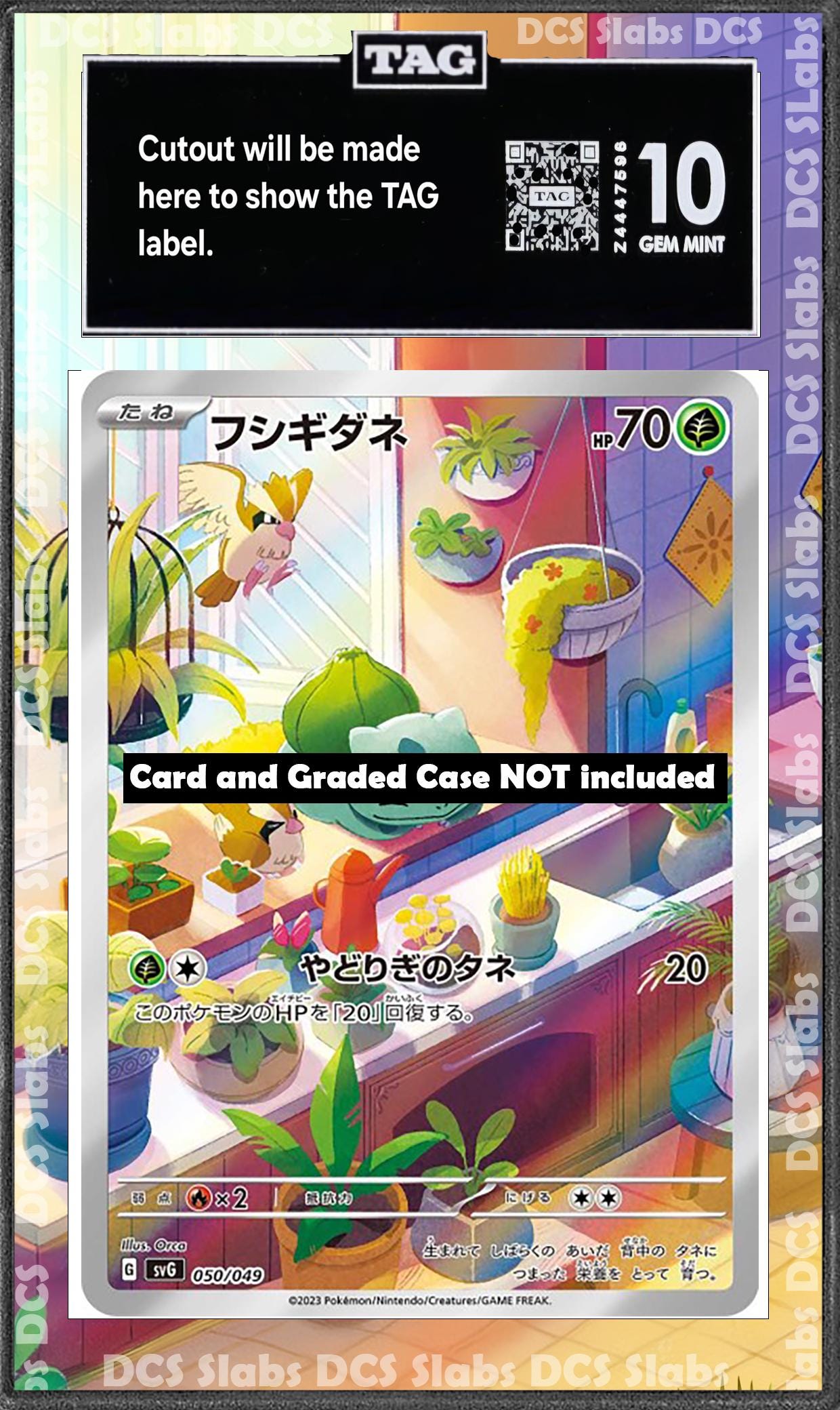 Bulbasaur 143/142 PSA bgs CGC tag Extended Artwork Pokemon Stellar Crown