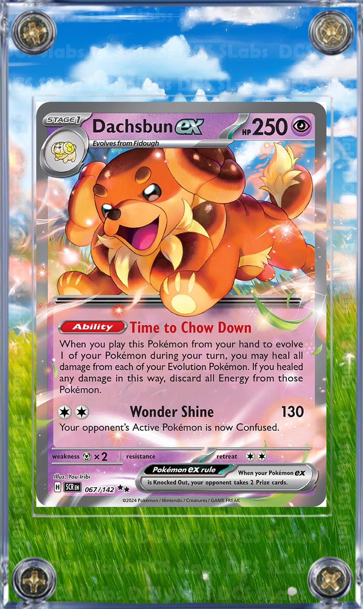 Pokemon Dachsbun EX SIR Stellar Crown Stellar Miracle SIR 169/142  Card Custom Display Case