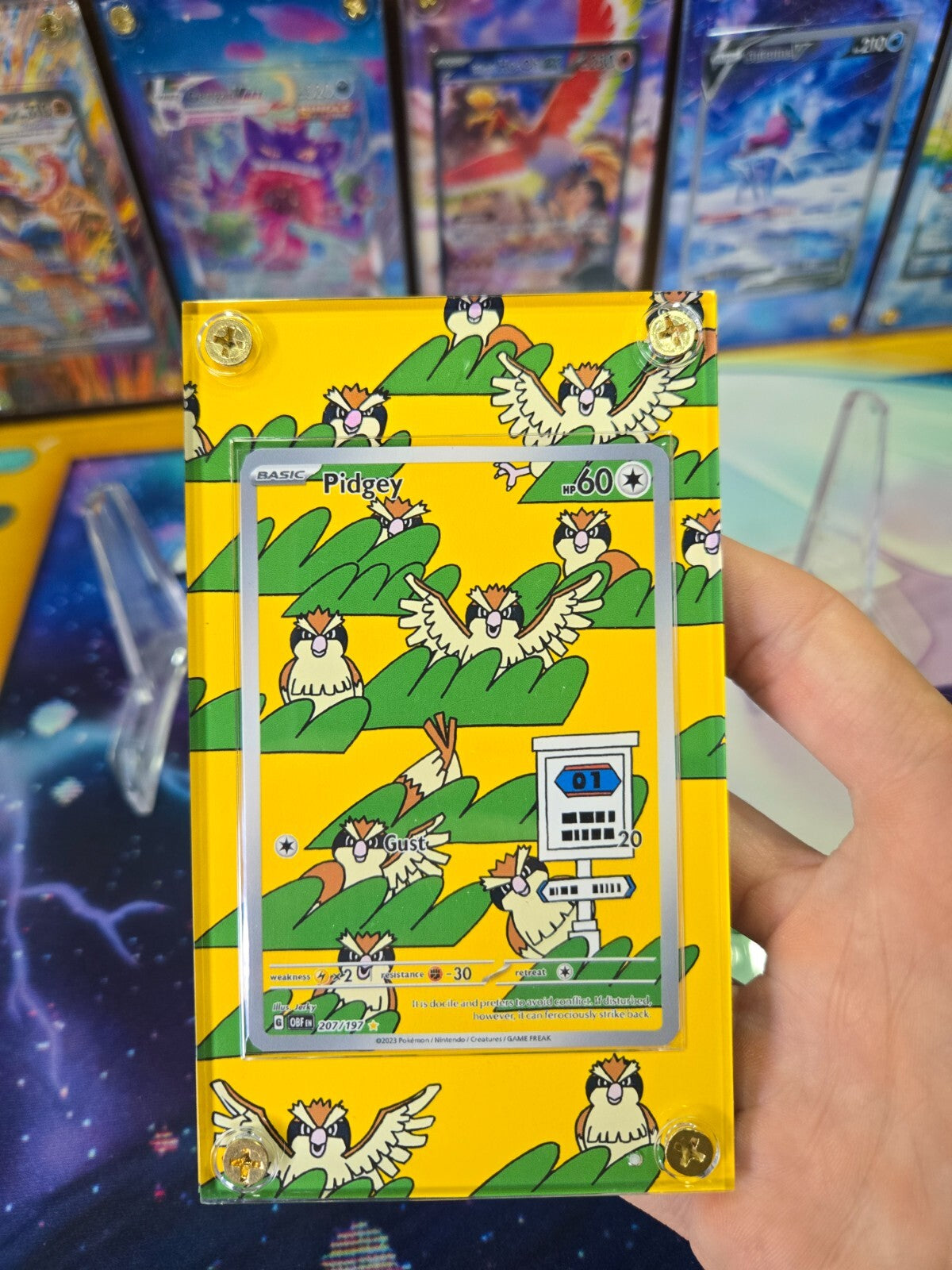 x3 Pidgey Pidgeotto  Pidgeot EX 207, 208, 225/197 Obsidian Flames Custom Case