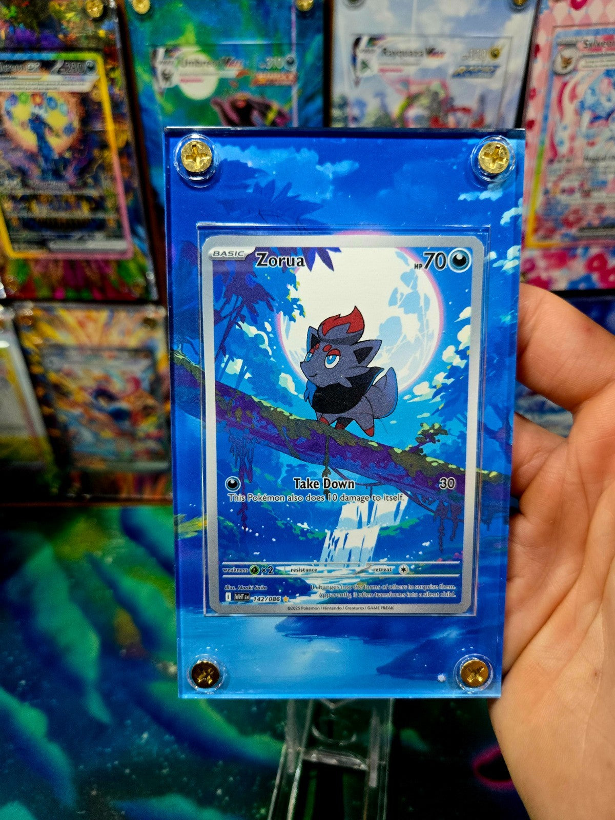 Pokemon Zorua 142/086 White Flare Extended Art Case