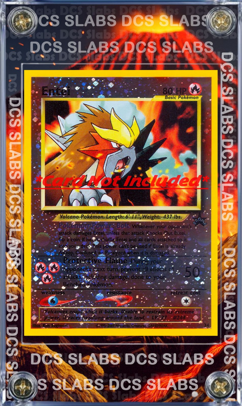 Pokemon Entei Promo 34 Movie Black Star Custom Display Case