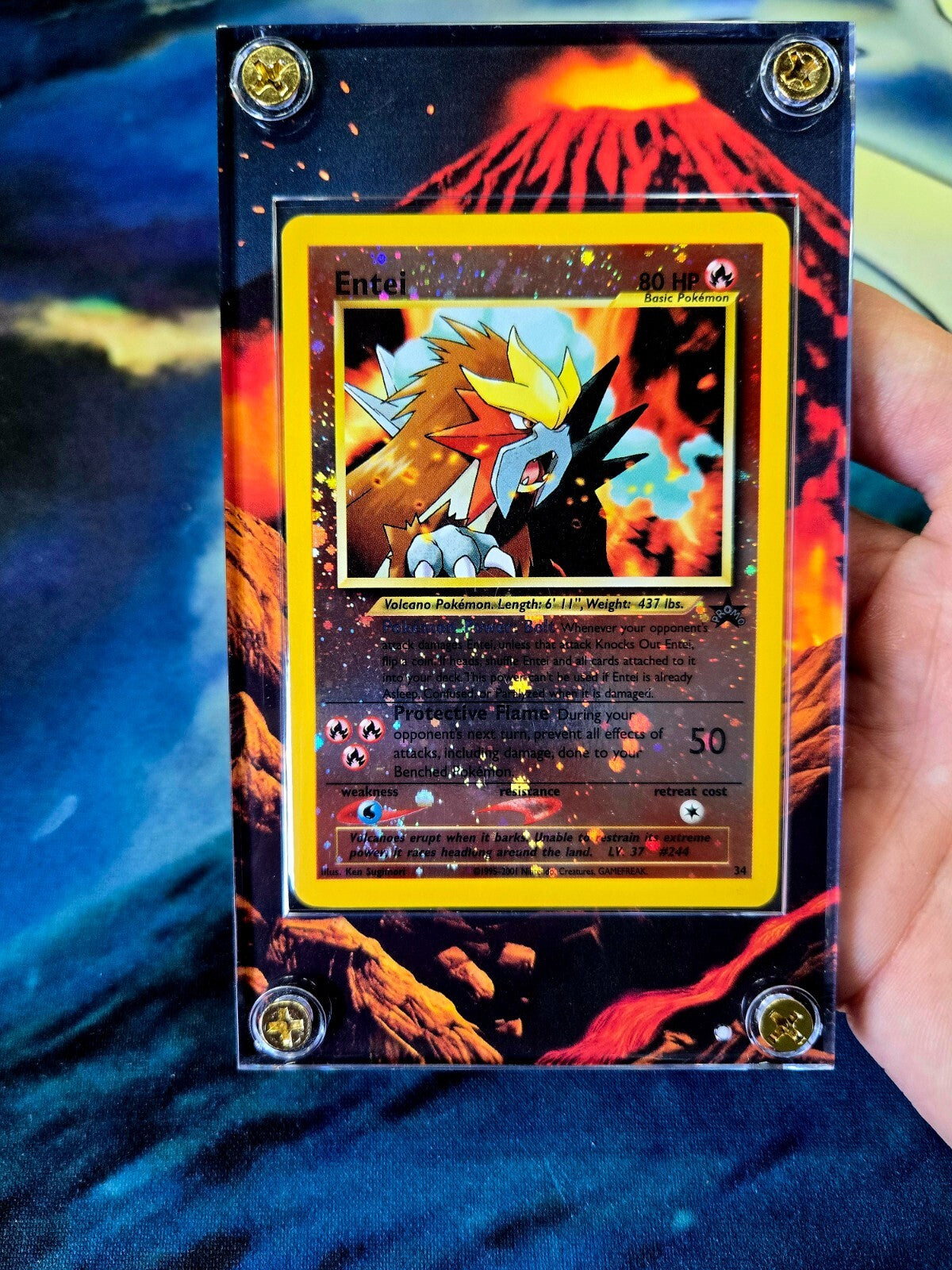 Pokemon Entei Promo 34 Movie Black Star Custom Display Case