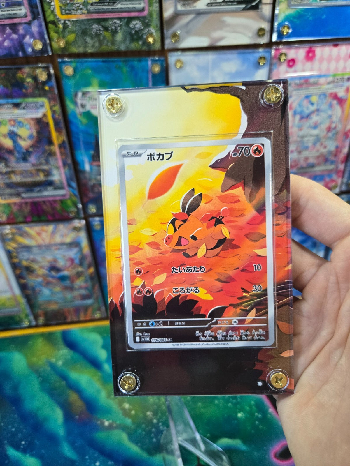 Pokemon Tepig AR 096/086 White Flare Extended Art Case
