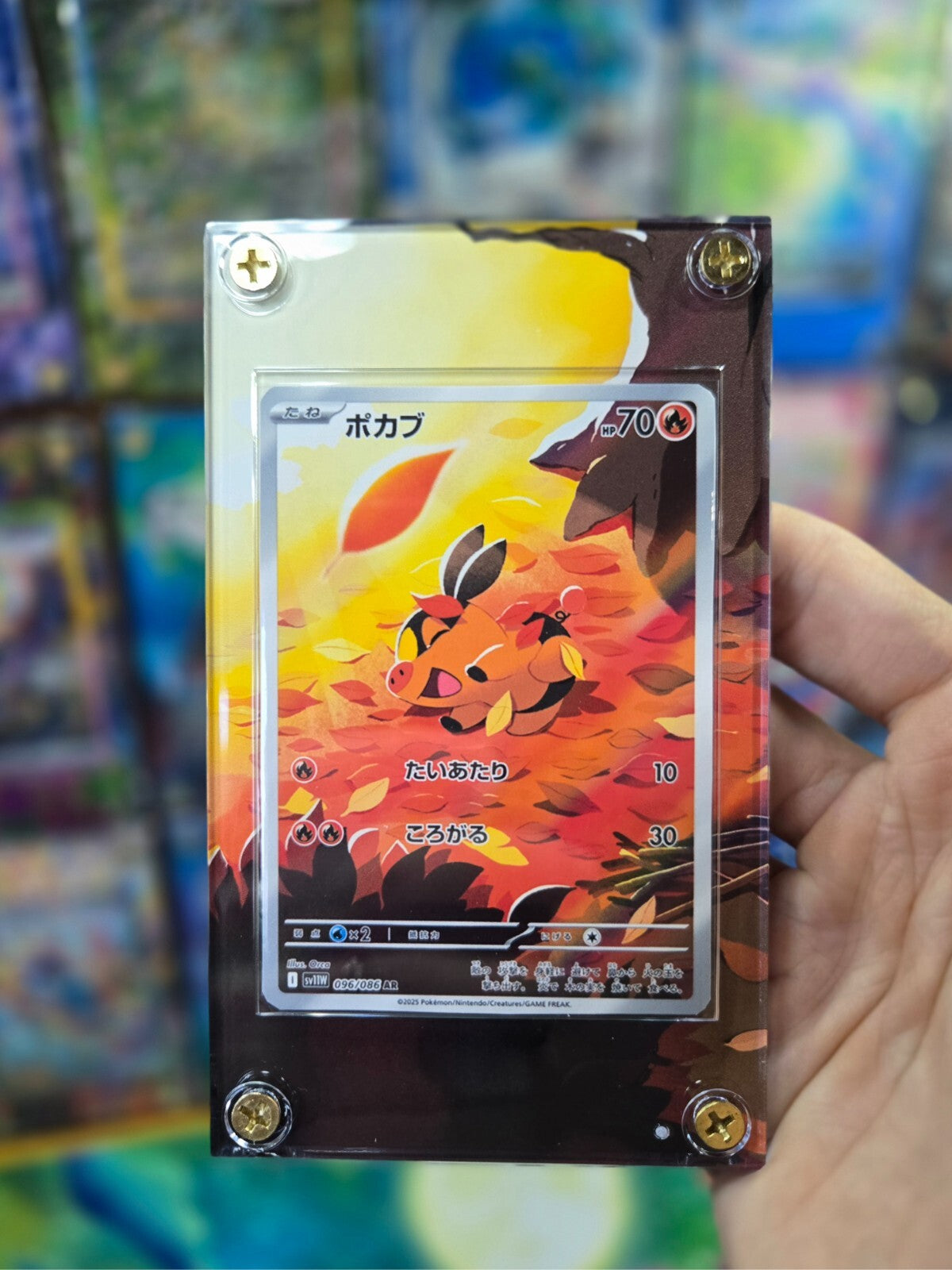Pokemon Tepig AR 096/086 White Flare Extended Art Case