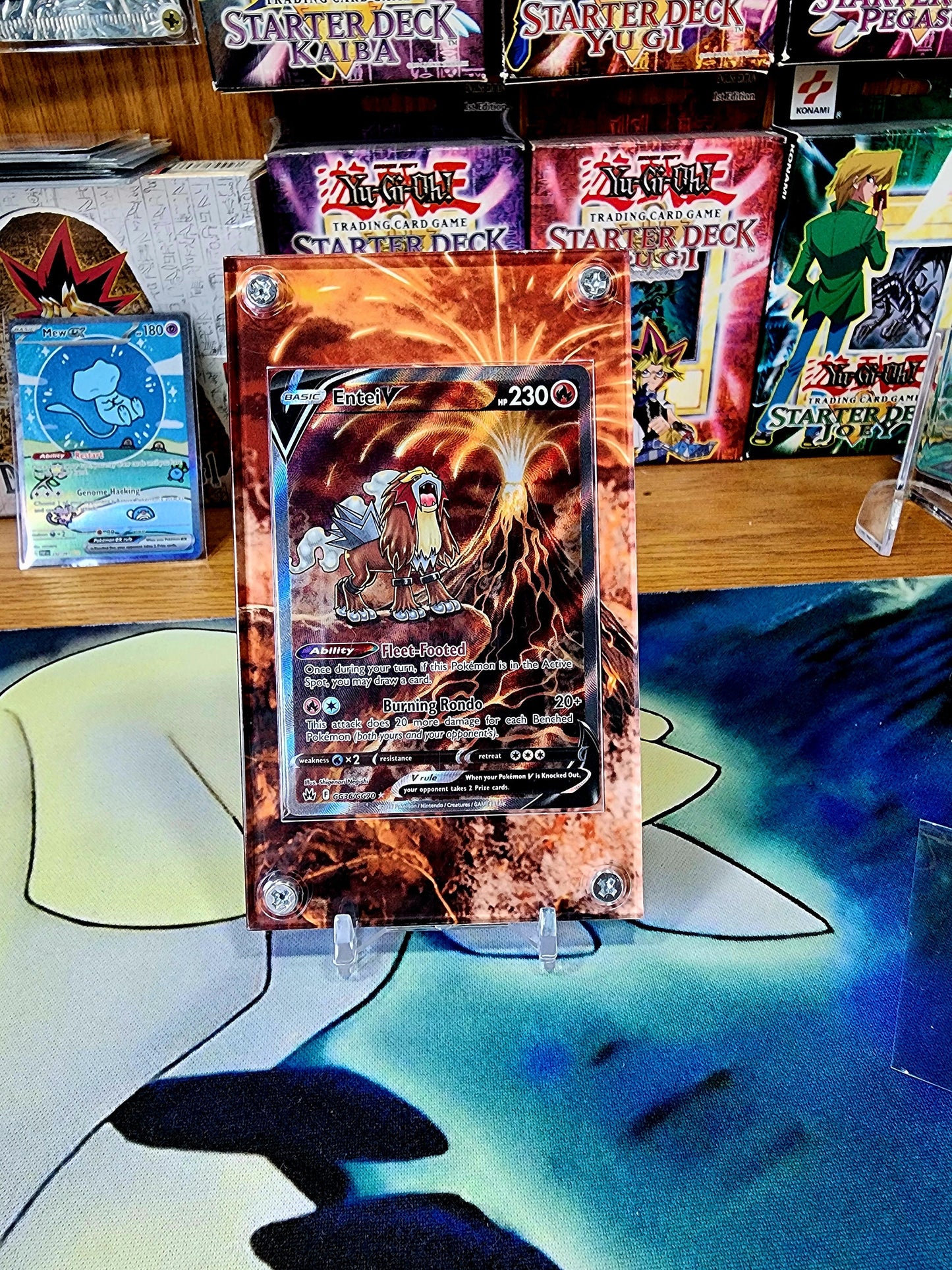 Pokemon Suicune Entei Raikou V GG38 GG36 GG41 Crown Zenith Custom Display Case Slab