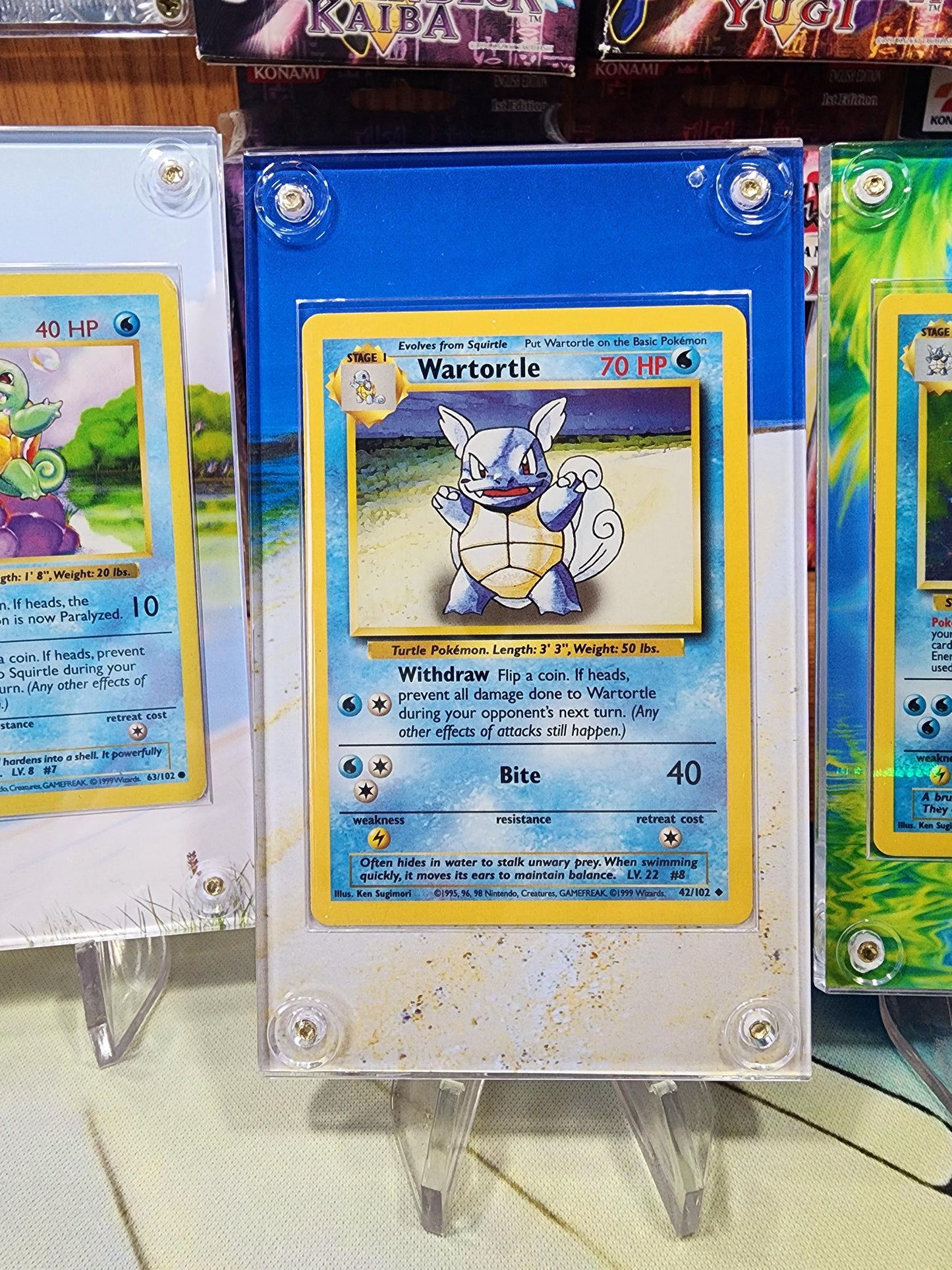 Pokemon Squirtle, Wartortle, Blastoise Base Set 2 Custom Display Case Slabs