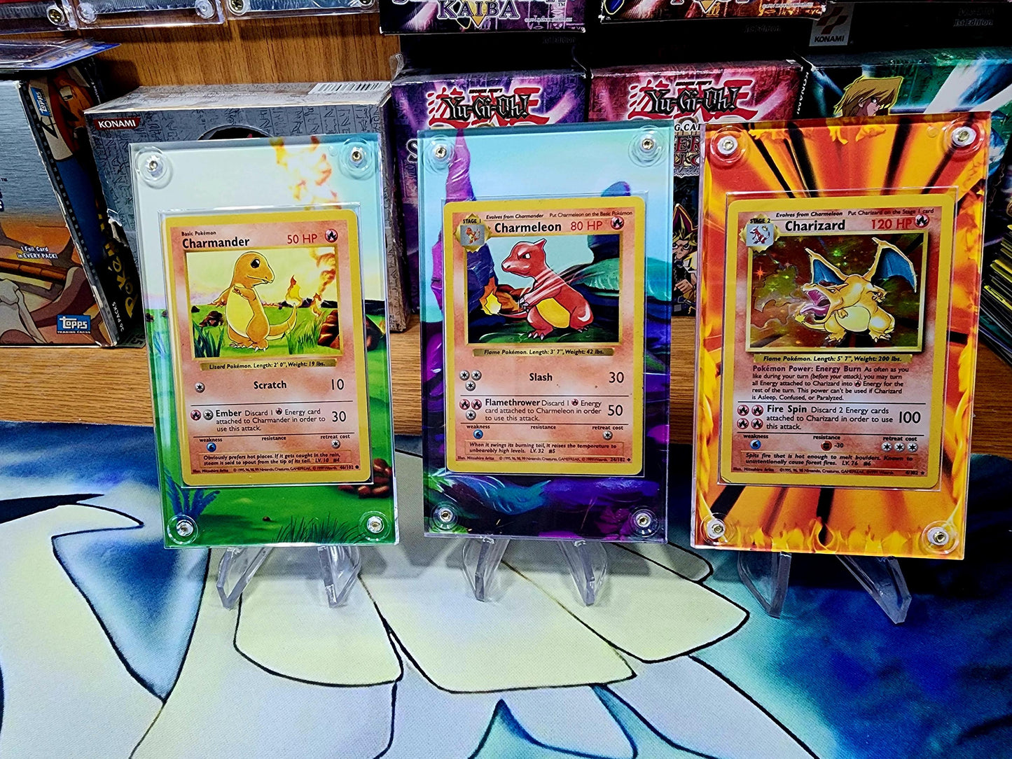 X9 Pokemon Original Charizard, Blastoise, Venusaur Base Set Evolutions Custom Display Case Slabs