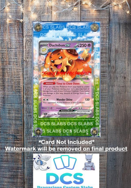 Pokemon Dachsbun EX Stellar Crown Stellar Miracle 067/142  Card Custom Display Case