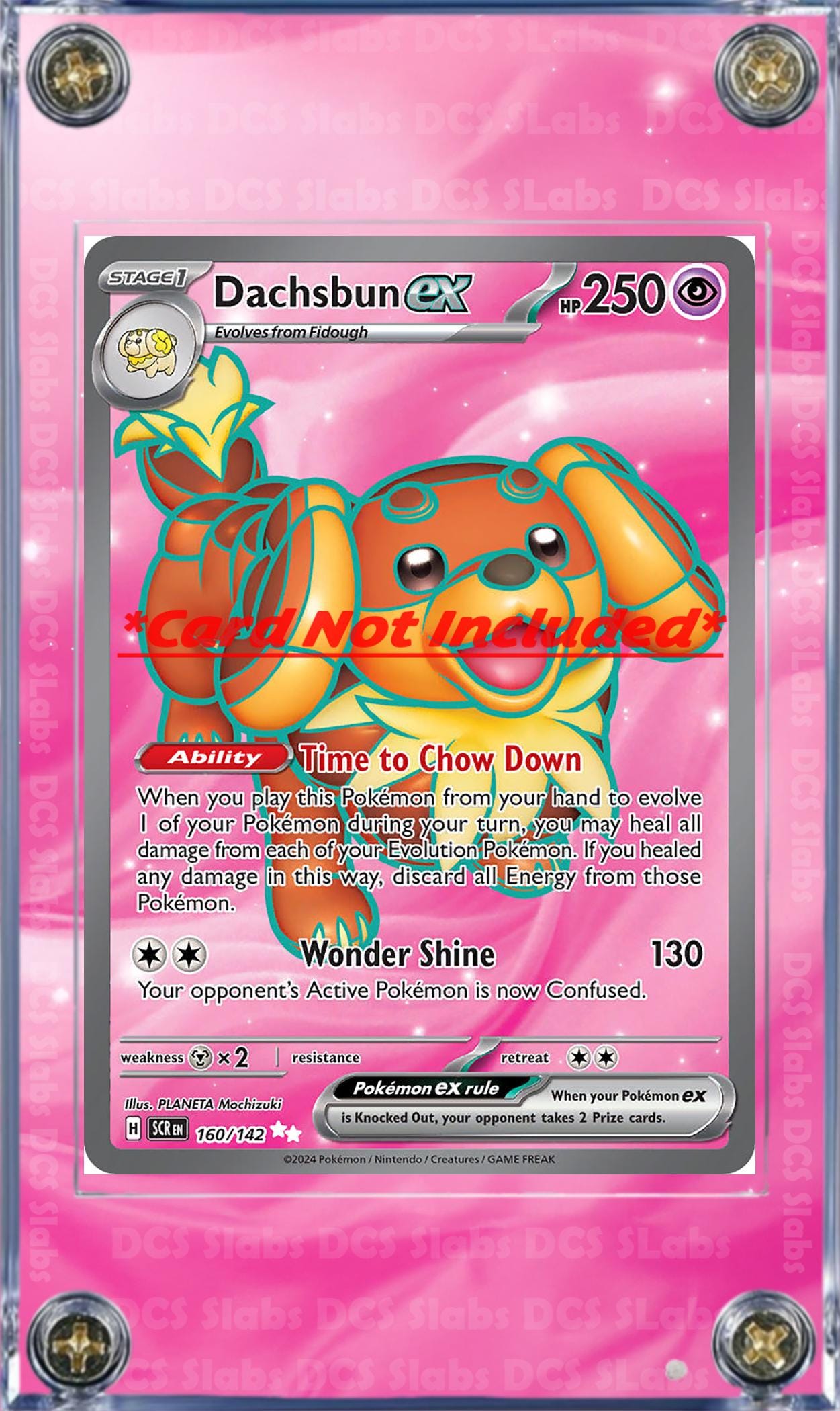 Pokemon Dachsbun EX SIR Stellar Crown Stellar Miracle SIR 169/142  Card Custom Display Case