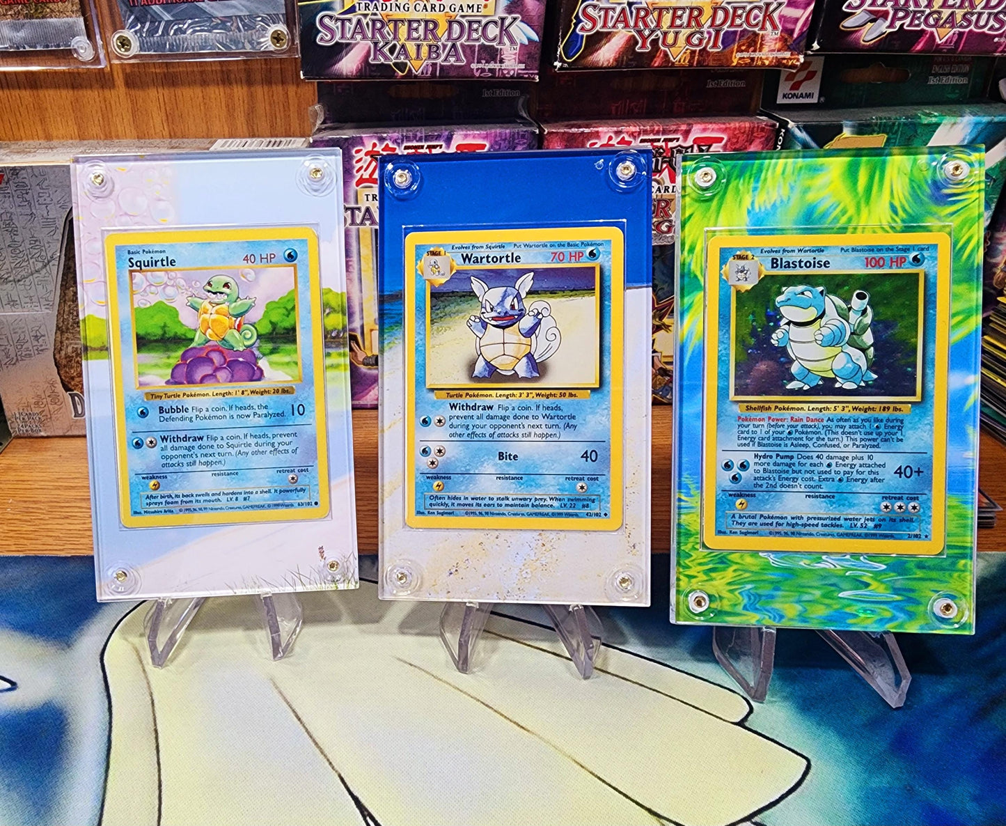 X9 Pokemon Original Charizard, Blastoise, Venusaur Base Set Evolutions Custom Display Case Slabs