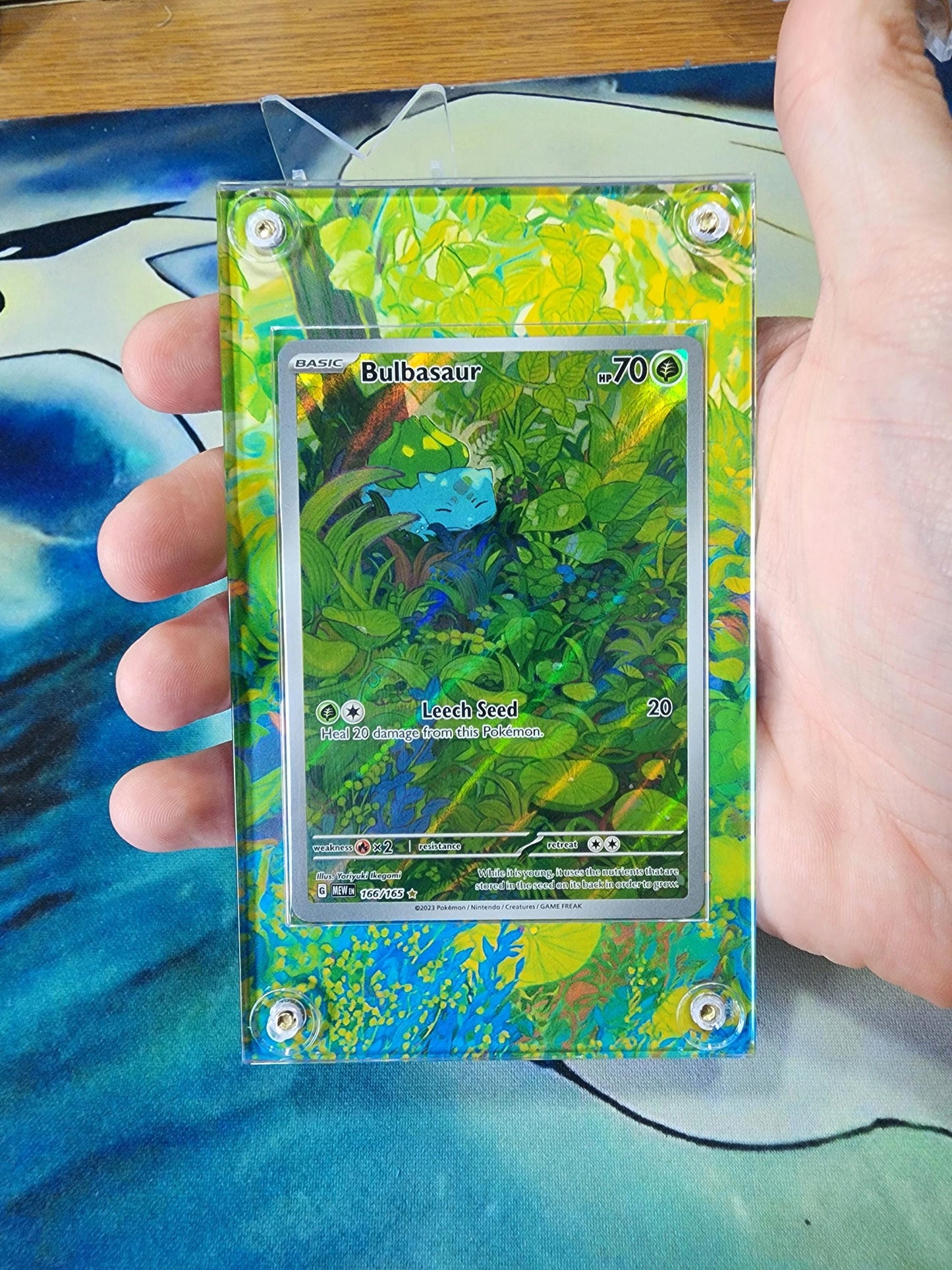 Pokemon Bulbasaur, Ivysaur, Venusaur 151 Custom Display Cases
