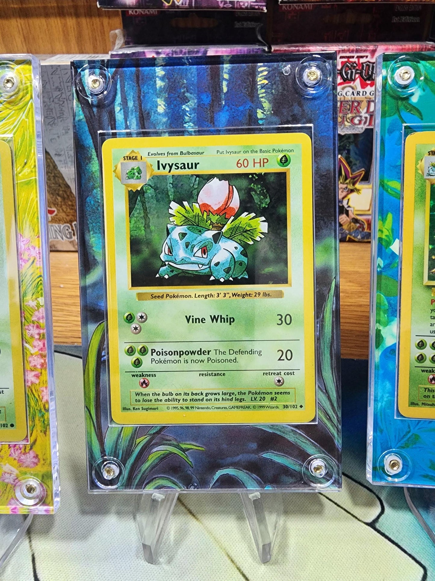 X9 Pokemon Original Charizard, Blastoise, Venusaur Base Set Evolutions Custom Display Case Slabs