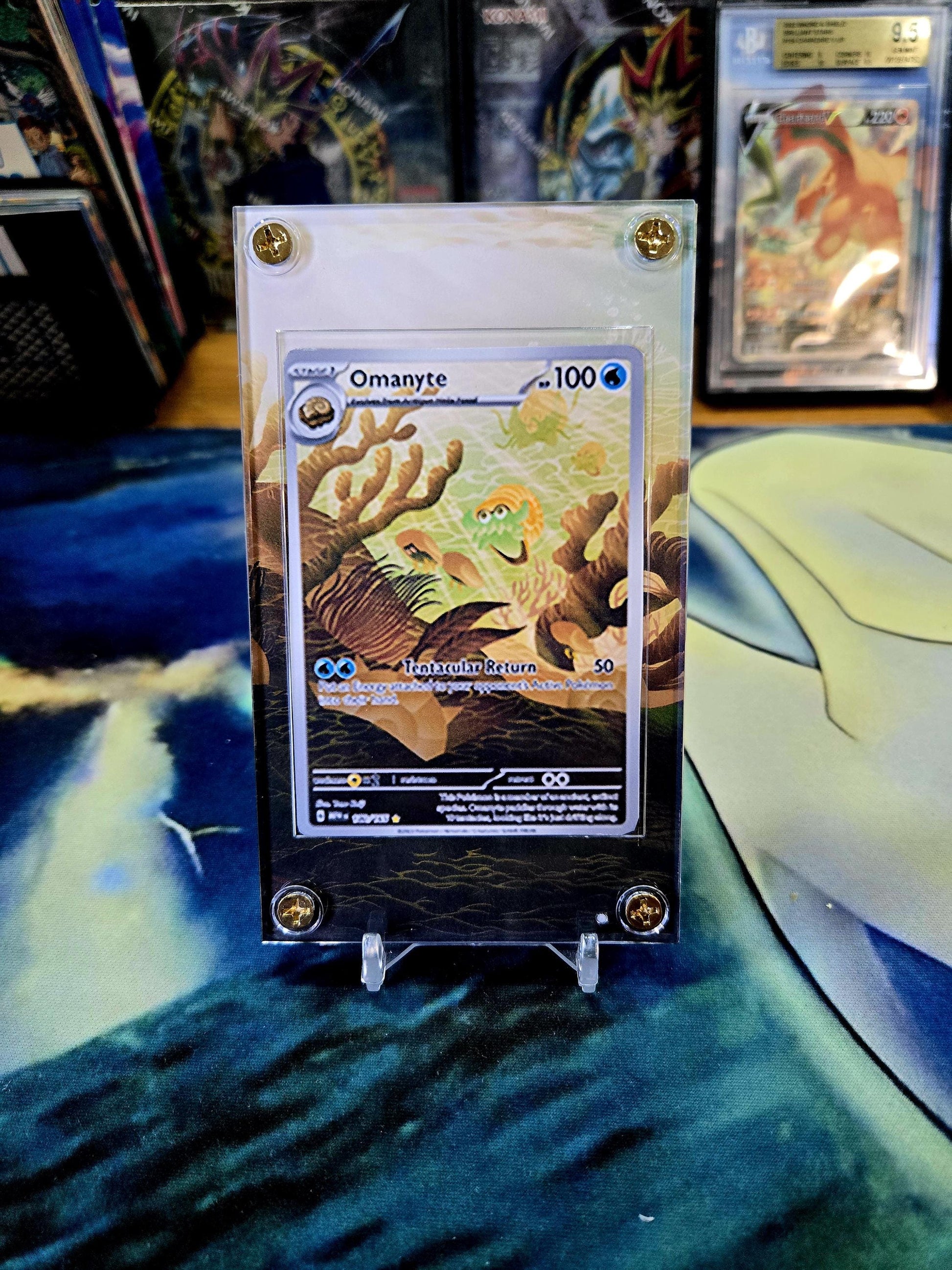 x10 Pokemon 151 IR Custom Display Cases - Nidoking, Dragonaire, Poliwhirl, Psyduck, Tangela, Pikachu, Mr Mime, Machoke, & Caterpie