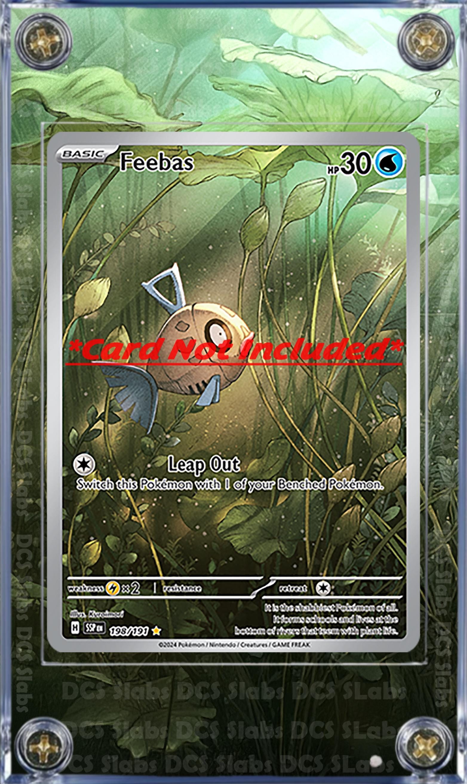 x2 Pokemon Milotic EX & Feebas 237/191 198/191 IR Custom Display Cases from Surging Sparks