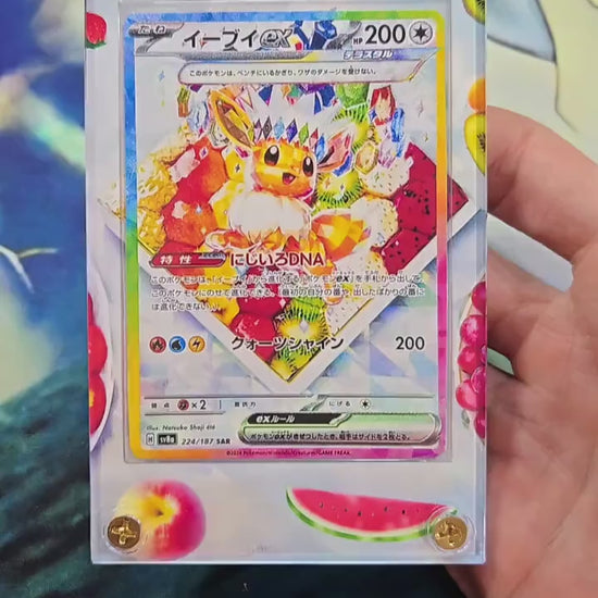 Pokemon Card Eevee ex SAR 224/187 sv8a Terastal Festival Pristmatic Evolutions Custom Case